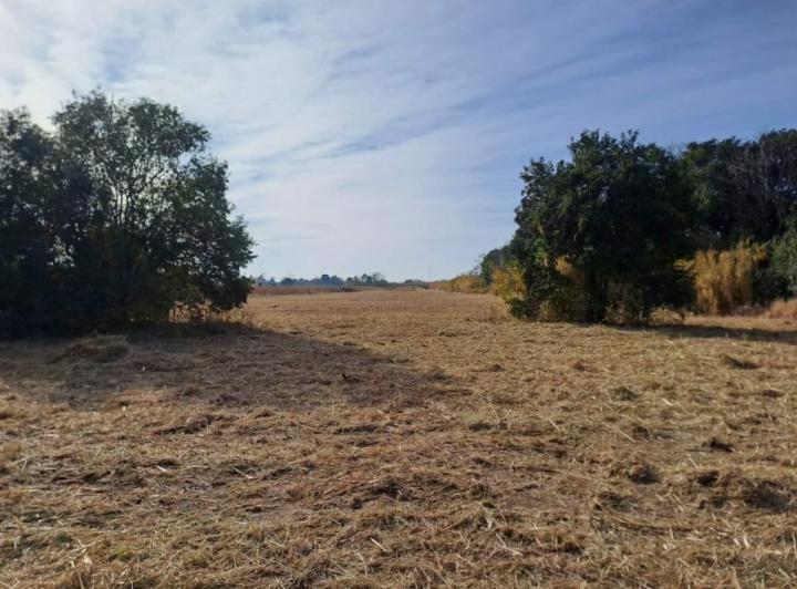 Terreno · 15000m²
