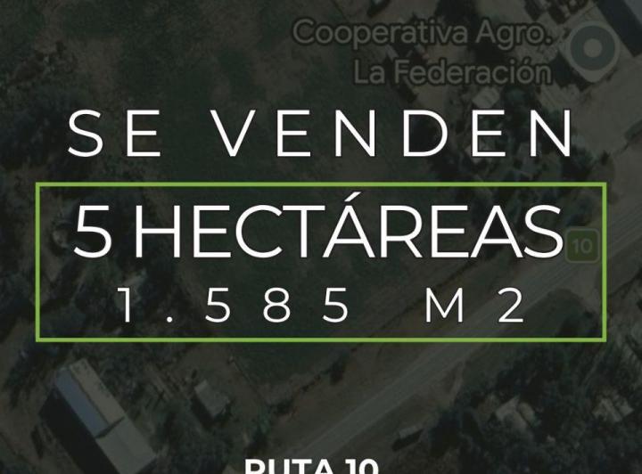 Campo · 50000m²