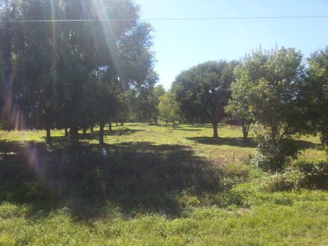 Terreno · 5000m²