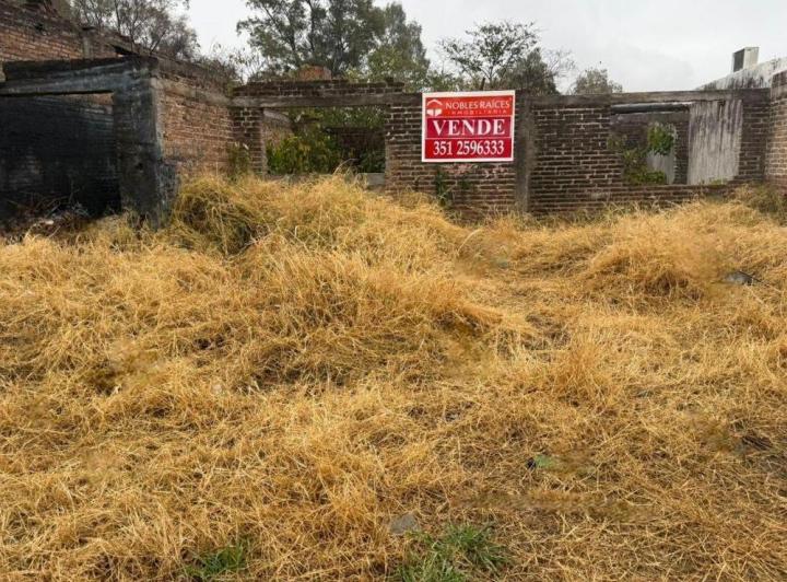 Terreno · 250ha
