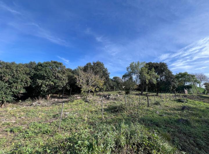 Terreno · 1366m²