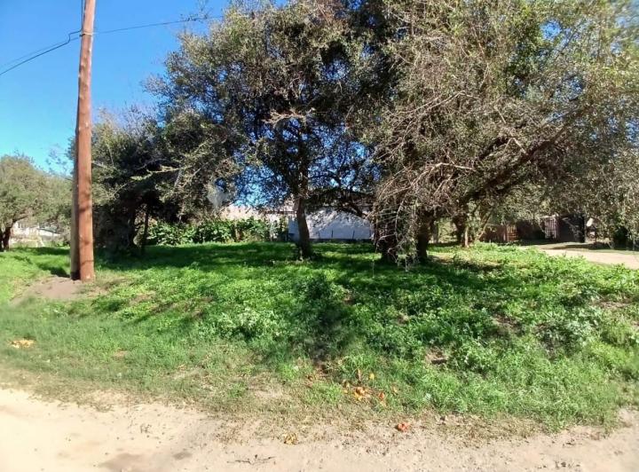 Terreno · 431m² · 1 Ambiente
