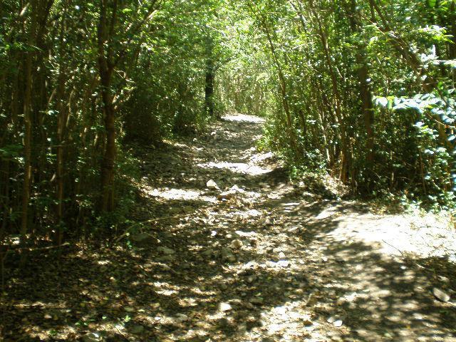 Terreno · 35000m²