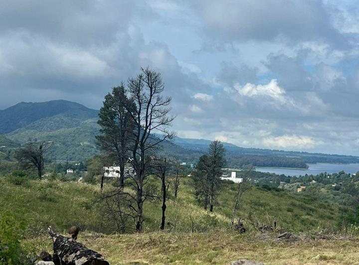 Terreno