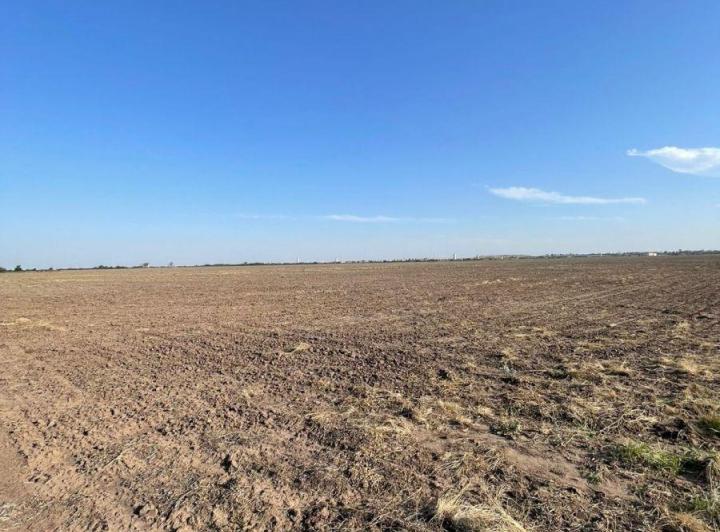 Campo · 200ha