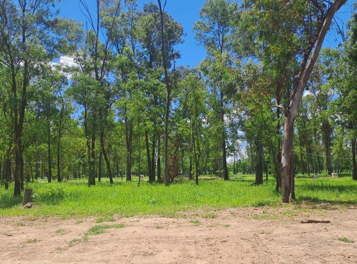 Terreno · 380m²