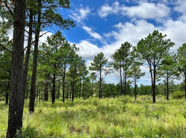 Campo · 400000m²