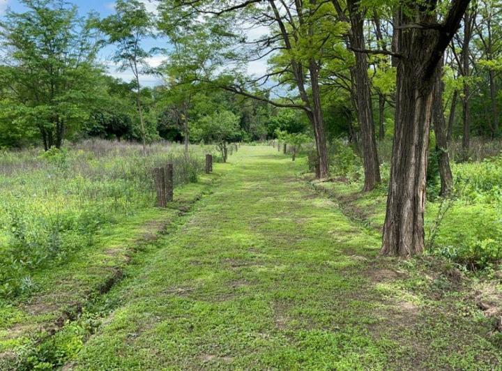 Terreno · 306m²