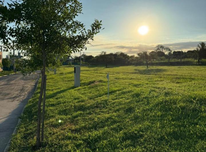 Terreno · 350m² · 5 Ambientes