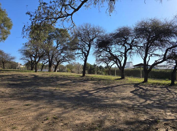 Terreno · 360m² · 10 Ambientes · 2 Cocheras