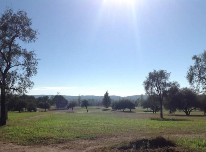 Terreno · 360m² · 10 Ambientes · 2 Cocheras
