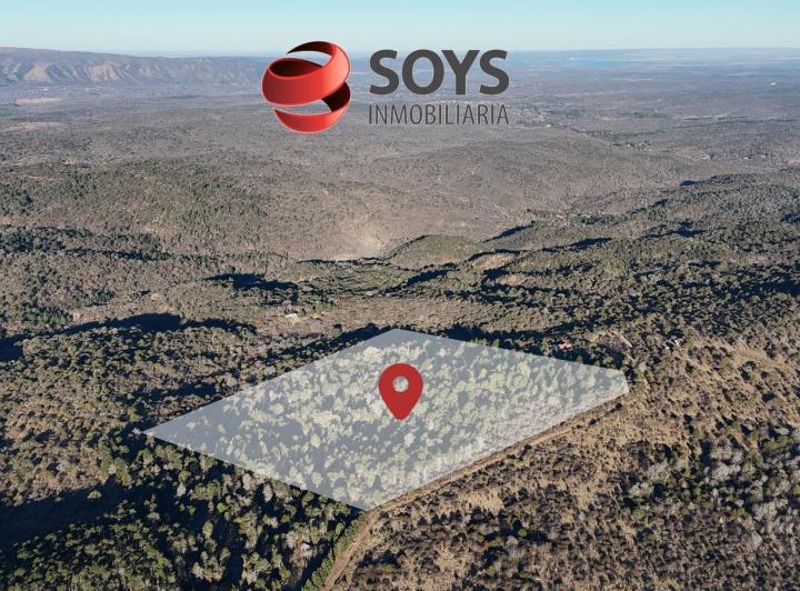 Campo · 129000m²