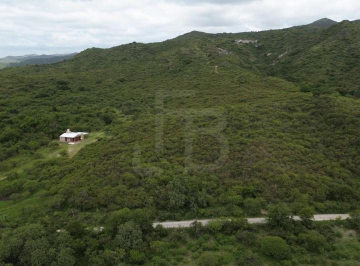 Terreno · 10000m²