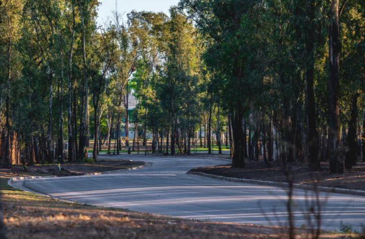 Terreno · 250m²