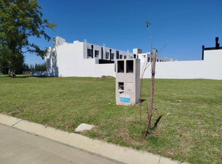 Terreno · 368m²