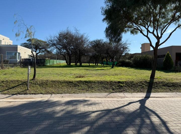 Terreno · 1269m²
