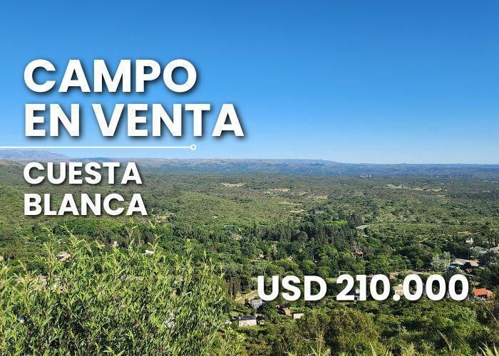Terreno · 210000000m²