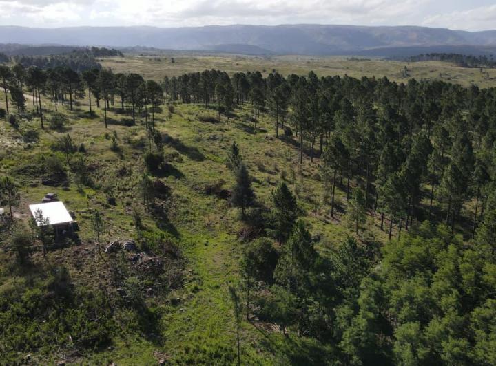 Terreno · 14600m²
