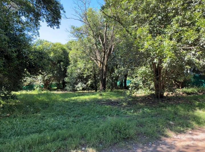 Terreno · 476m²