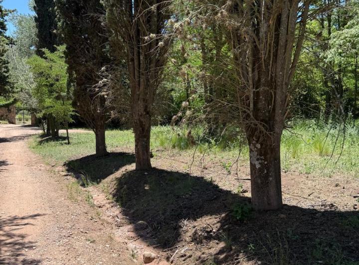 Terreno · 3183m²