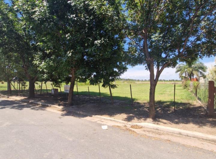 Terreno · 1350m²