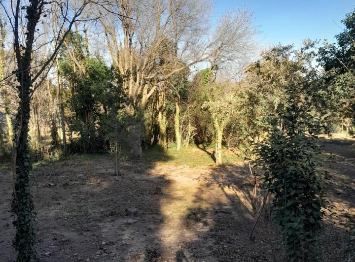 Terreno · 1m²