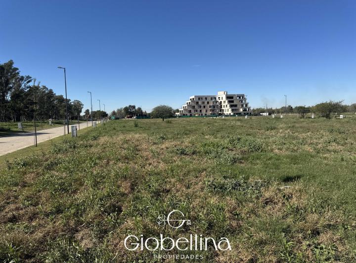 Terreno · 250m²