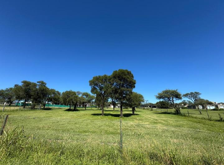 Terreno · 4300m²