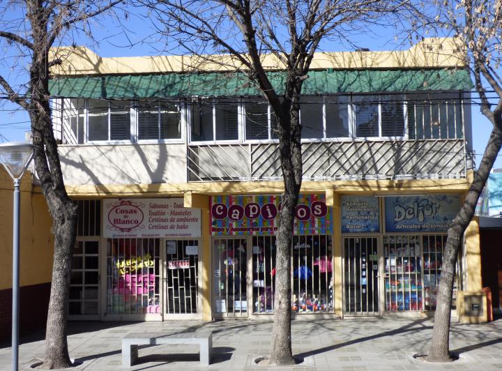 Local comercial · 290m² · 10 Ambientes