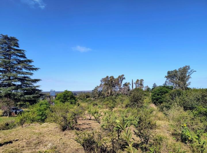 Terreno · 1m²
