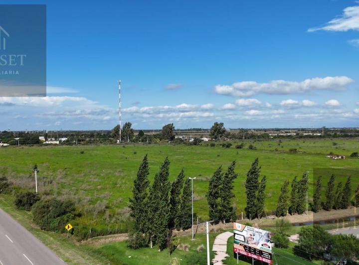 Terreno · 290000ha