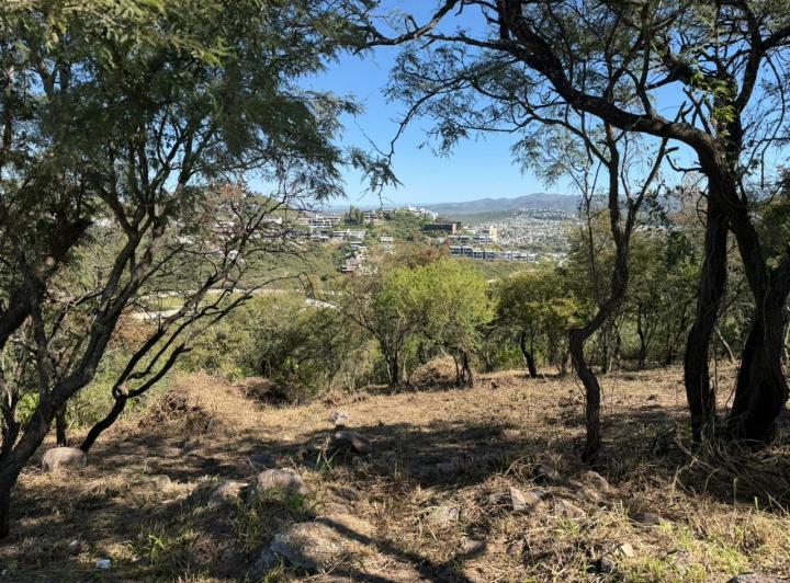 Terreno · 1240m²