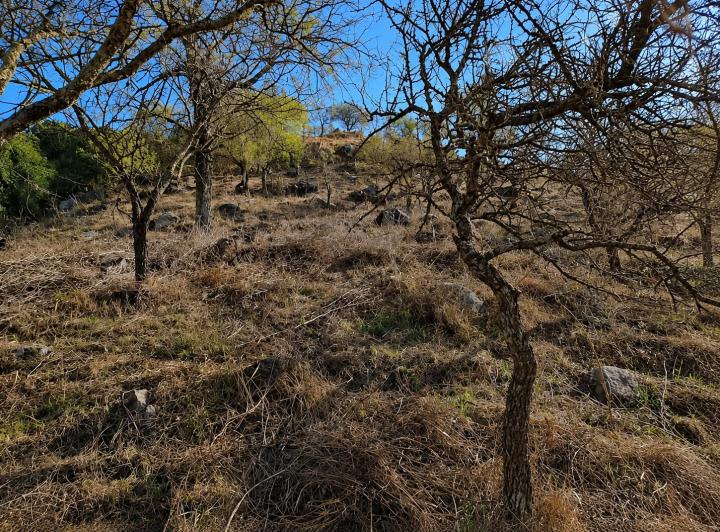 Terreno · 377m²