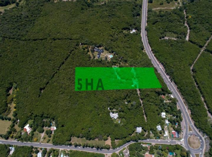Terreno · 50000m²