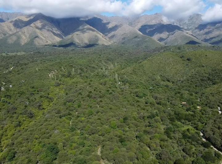 Campo · 50000m²