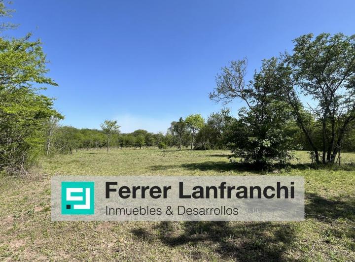 Terreno · 3750m²