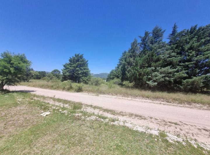 Terreno · 3074m²