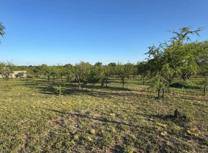 Terreno · 630m²