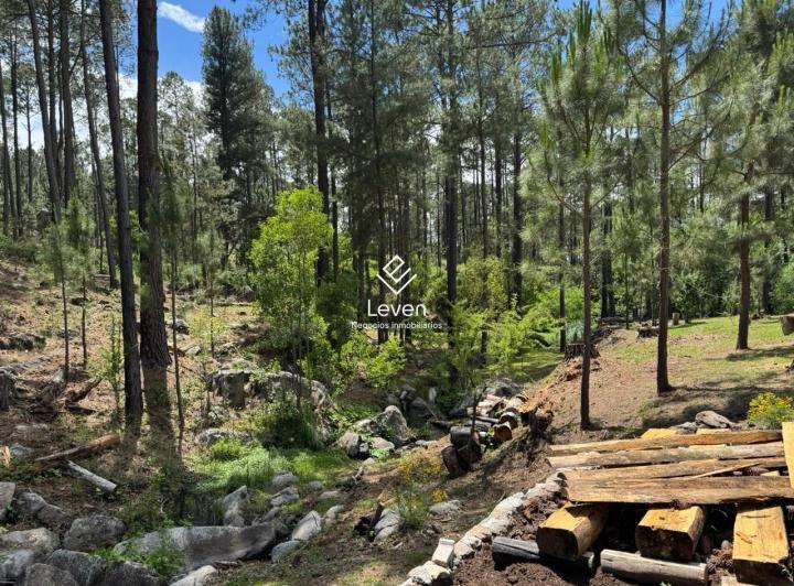 Terreno · 25000m²