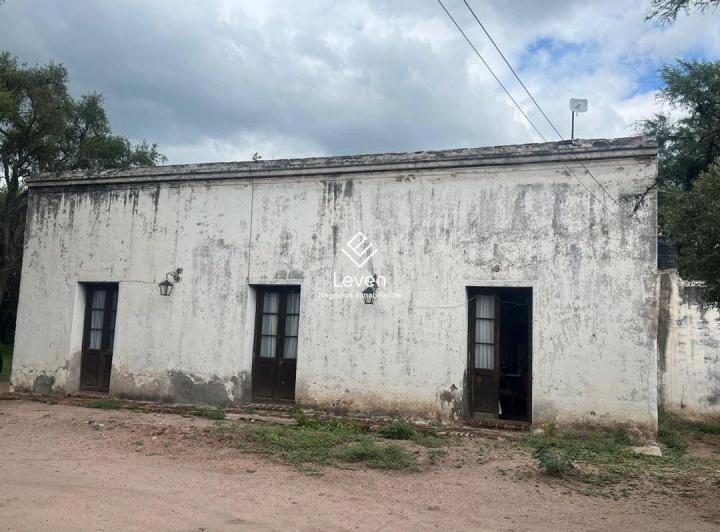 Campo · 420000ha