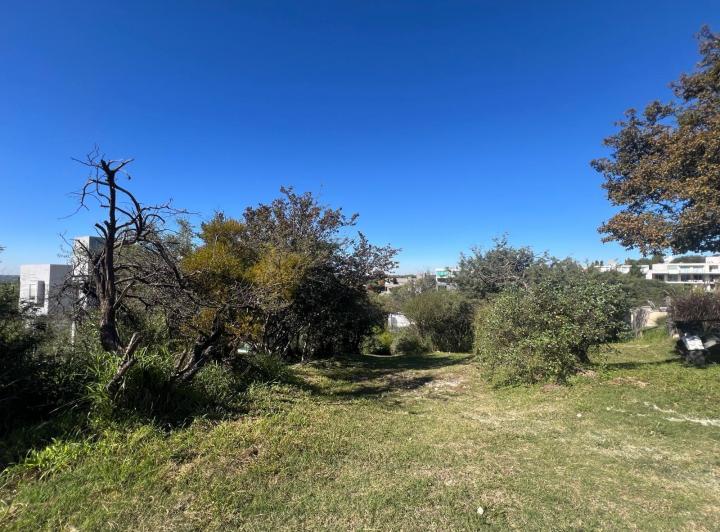 Terreno · 1170m²