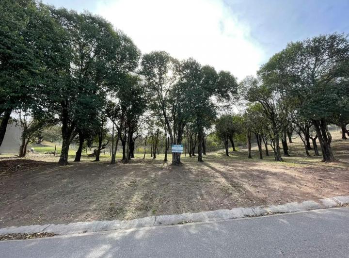 Terreno · 1269m²