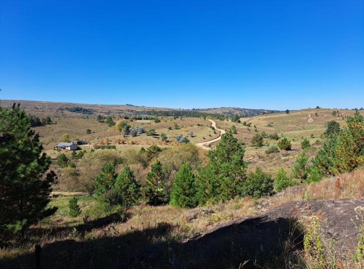 Terreno · 4777m²