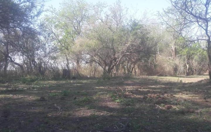 Terreno · 1193m²