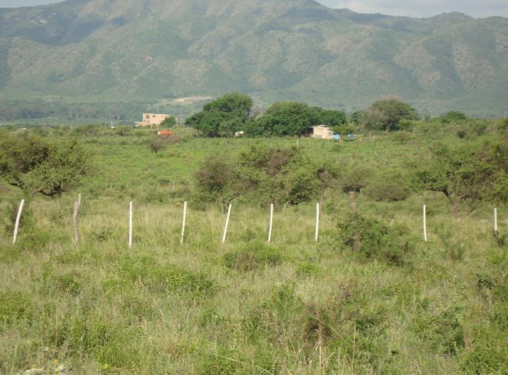 Terreno · 1m²