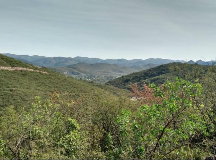 Terreno · 1338m²