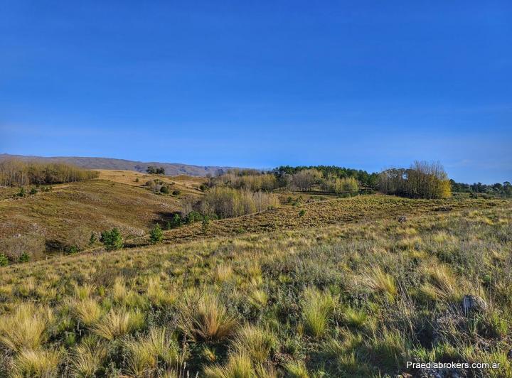 Terreno · 7883m²