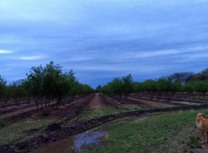 Terreno · 50m² · 5 Ambientes