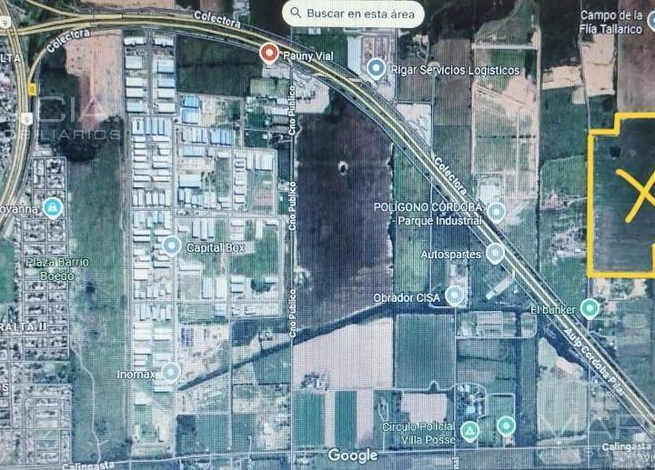 Campo · 380000m²