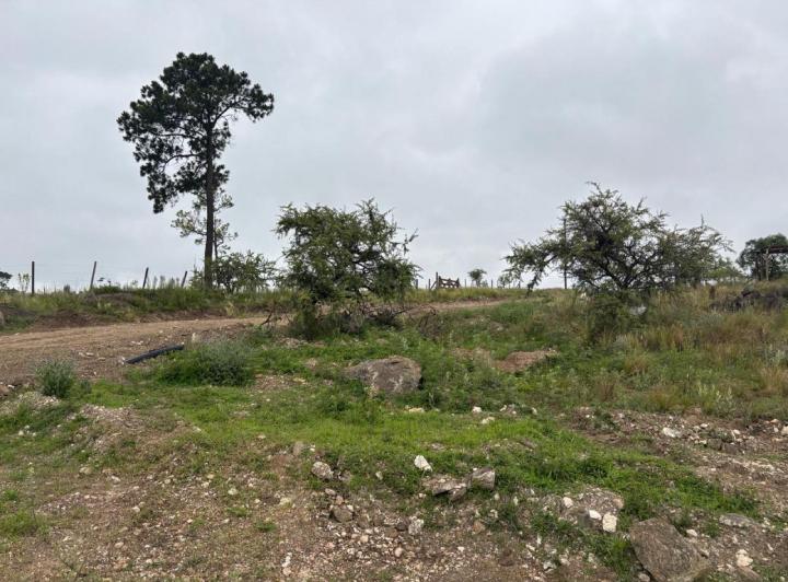 Terreno · 605m²